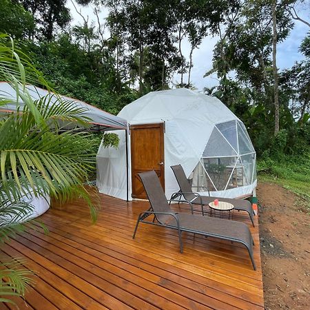 La Comarca River Glamping Dome Near Manuel Antonio Dış mekan fotoğraf