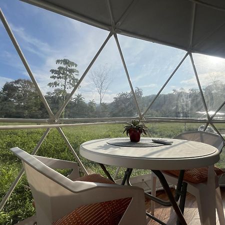 La Comarca River Glamping Dome Near Manuel Antonio Dış mekan fotoğraf