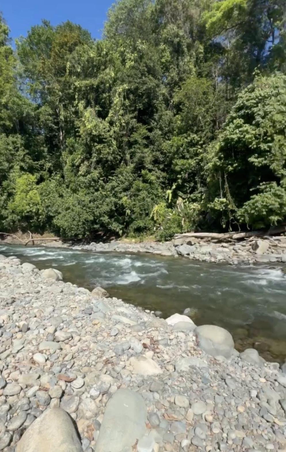 La Comarca River Glamping Dome Near Manuel Antonio Dış mekan fotoğraf
