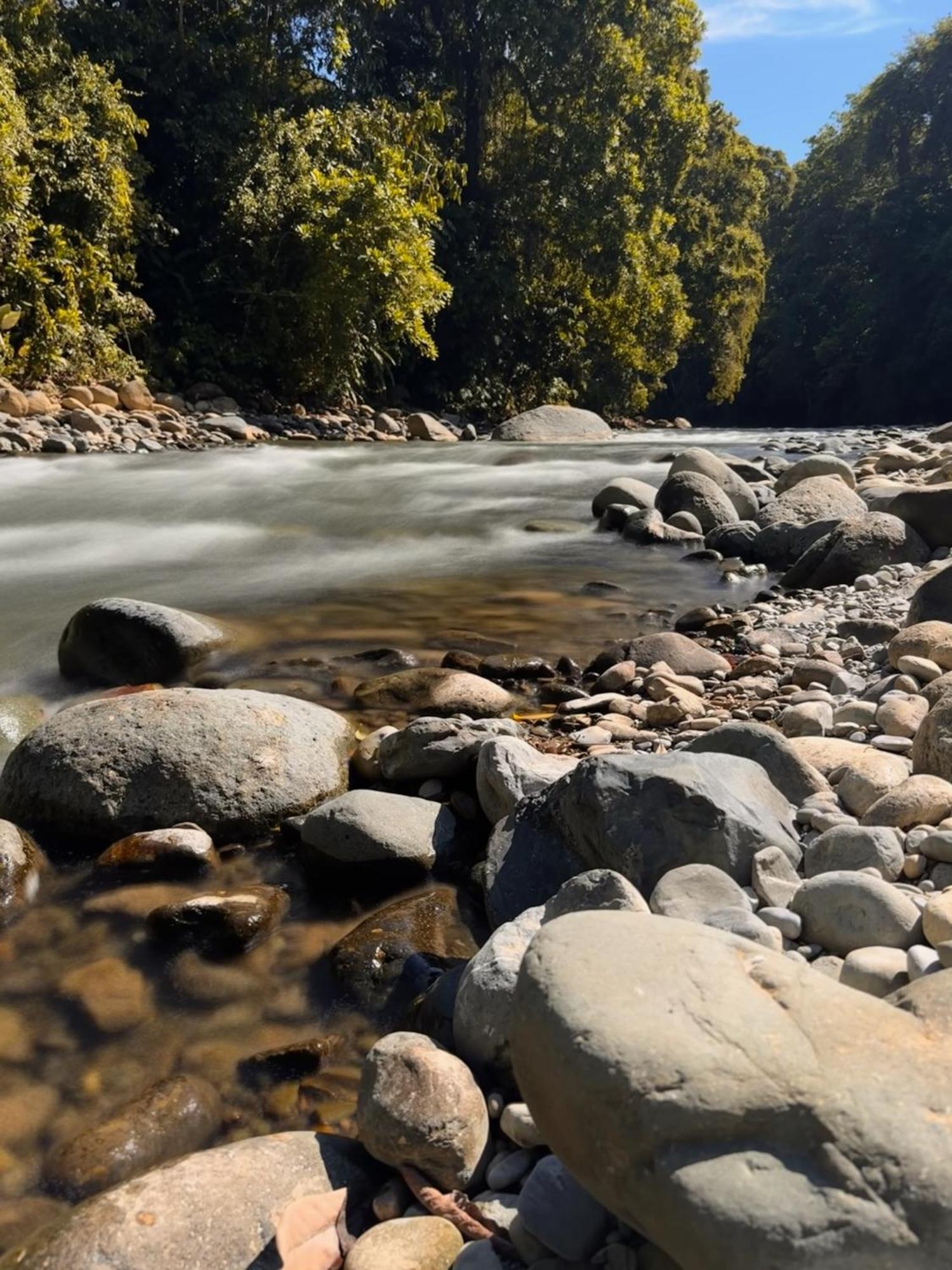 La Comarca River Glamping Dome Near Manuel Antonio Dış mekan fotoğraf